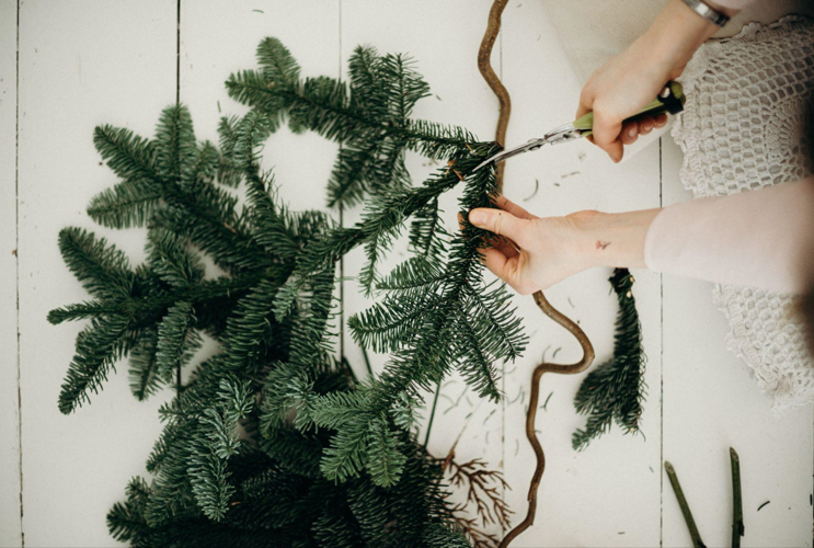 Choosing the Perfect Christmas Tree Size for Your 8-Foot Ceiling